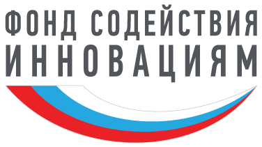 FSI Logo